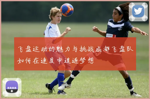 飞盘运动的魅力与挑战成都飞盘队如何在速度中追逐梦想