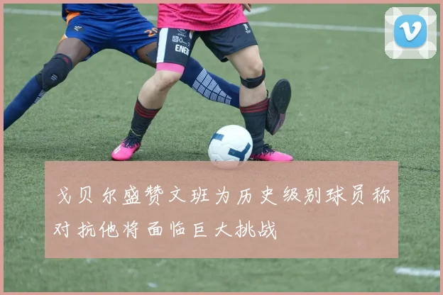 戈贝尔盛赞文班为历史级别球员称对抗他将面临巨大挑战